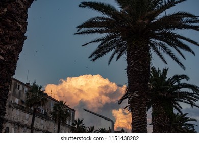 Sunset in split with red clouds and Palms