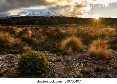 Sunset st Mount Ruapehu in Tongariro national park, New Zealand - Powered by Shutterstock