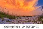          Sunset at the State Park on St George Island                      