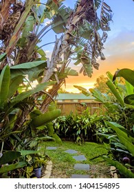 Sunset In Suburban Street With Tropical Framing On Paved Path