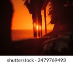 Sunset sun dipping into Pacific ocean horizon, captured through palm trees silhouettes in Los Angeles, CA. Warm orange light filling the photo, creating the sense of calmness and tranquility.