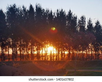Sunset with the sun over the trees.