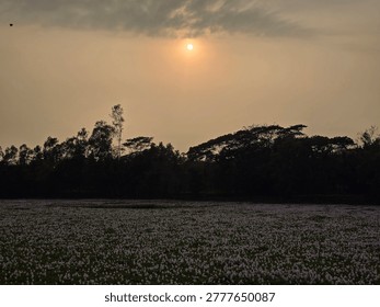 Sunset sun shining through clouds over fields and trees with landscape