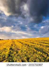 Sunset or sunrise at cultivated land in the countryside with cloudy sky. Landscape. - Shutterstock ID 2151722307