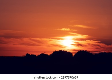 Sunset Sunrise Scene In Open Field With Tall Grass And With Warm Orange Color. Calm And Peaceful Nature Scene.