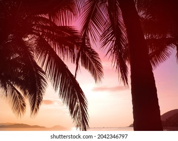 Sunset Or Sunrise Skies And Palm Tree Leaves Silhoutte In The Sea Landscape. Beautiful Sunset Beach   . Romantic Summer Holiday And Vacation Concept For Tourism.