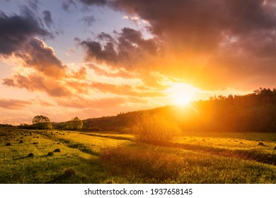 Sunset or sunrise in a spring field with green grass, willow trees and cloudy sky. Sunbeams making their way through the clouds.