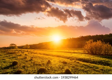 Sunset or sunrise in a spring field with green grass, willow trees and cloudy sky. Sunbeams making their way through the clouds. - Powered by Shutterstock