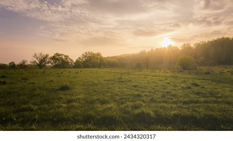 Sunset or sunrise in a spring field with green grass, willows, mist and a cloudy sky. Springtime rural landscape. Vintage film aesthetic. - Powered by Shutterstock