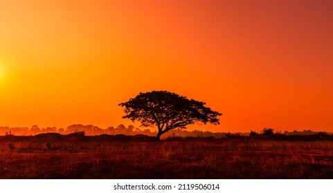 Sunset And Sunrise.Panoramic View Of Strong Sunset With Silver Lining And Orange Sky Clouds.