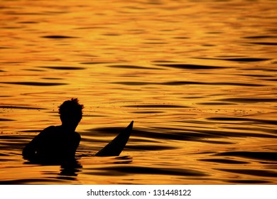 Sunset Surfer