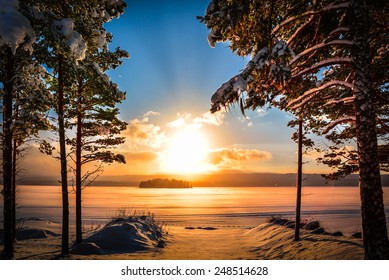 Sunset in Sweden with a lake and pine trees in the foreground