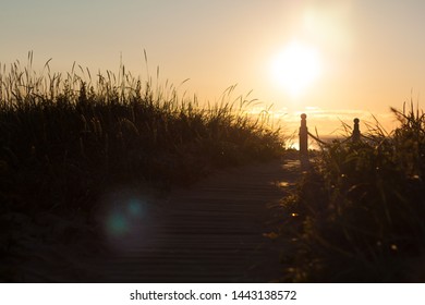 sunset with tall grass at foreground, wooden footpath, soft atmoshperic image with lens flare and hazed sky