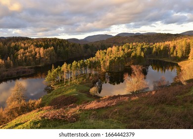 Sunset At Tarn Hows In The Lake District