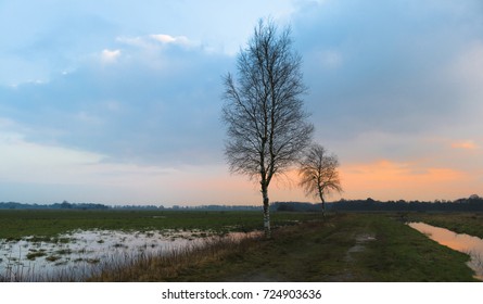 Sunset In Teufelsmoor Near Bremen / Germany