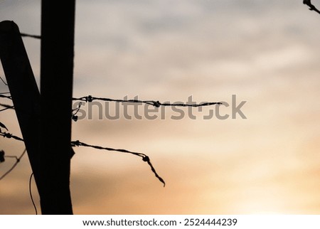 the sunset through the broken barbed wire