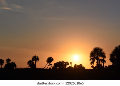 Sunset through the palm trees