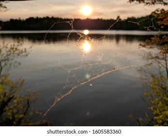 A sunset through a spiderweb. 