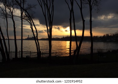Sunset through thin trees.