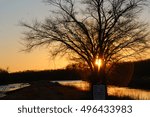 Sunset through a tree