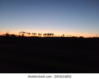 Sunset Through Treeline In Beltrami Forest.