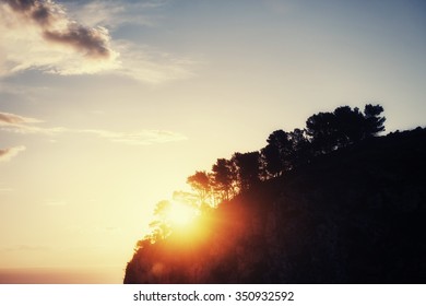 sunset through the trees