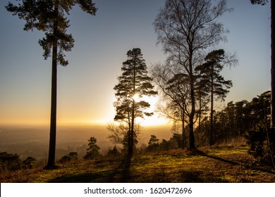 Sunset through the trees on Leith Hill, Surrey, UK on a cold winter day