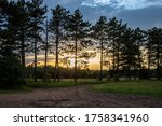 Sunset through the trees at Wild River State Park, Chisago Co., Minnesota.