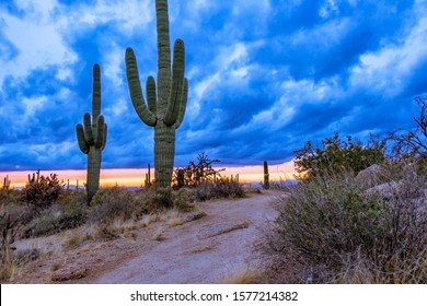 Sunset time along  a Desert Hiking & Mountain Biking Trail Near Scottsdale, AZ