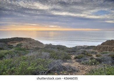 Sunset At Torrey Pine State Reserve Park