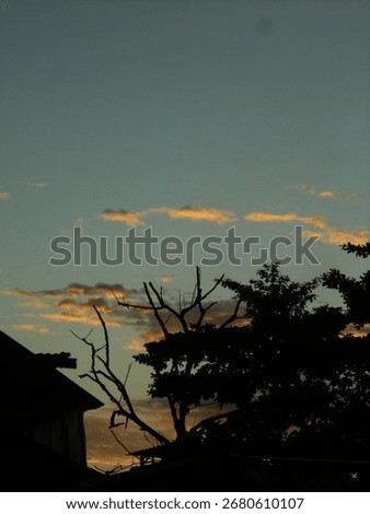 Sunset and tree so beutiful. 