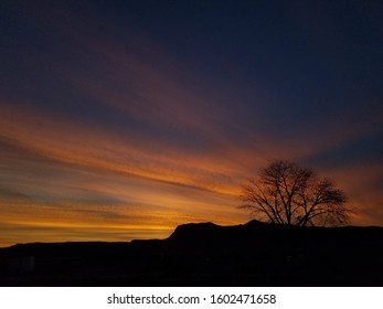sunset with a tree silhouette 