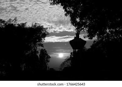 Sunset. Tree silhouetted against a setting sun. Dark tree on open field dramatic sunset. - Powered by Shutterstock