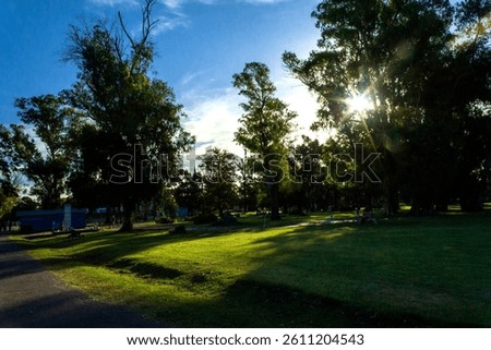 Sunset in tree-filled park – República de los Niños, Gonnet, Argentina.
Atardecer en parque arbolado – República de los Niños, Gonnet, Argentina.