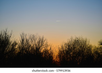 Sunset Treeline With An Airplane In The Sky