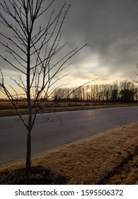 Sunset Treeline In Arkansas State