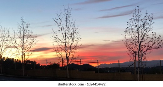 Sunset with trees