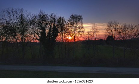 Sunset and trees