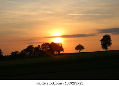 Sunset with trees backround with clouds
