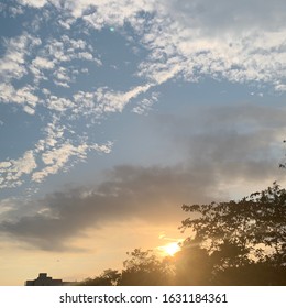 Sunset With Trees and Clouds