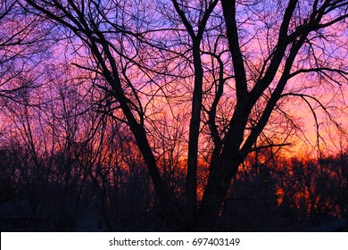 sunset, trees sunset, colorful, beauty, nature, pink sunset, purple sunset, wallpaper, texture, background