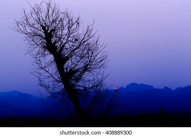 Sunset with trees in the foreground.
