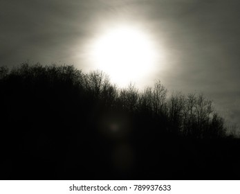 Sunset with trees on background