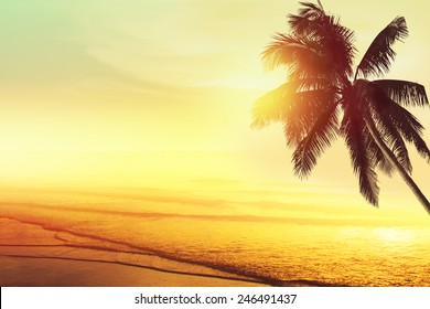 Sunset at a tropical beach in the Caribbean 