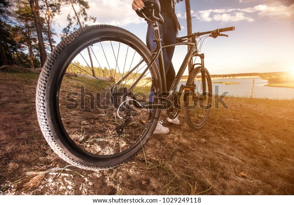 sky rider fat bike price