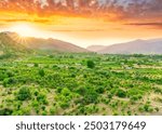 sunset valley landscape with green trees and gardens among beautiful mountains with colorful cloudy sky on background