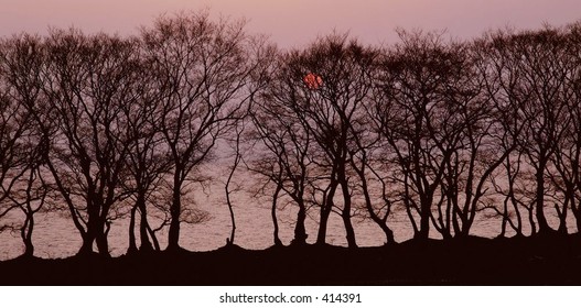 Sunset View