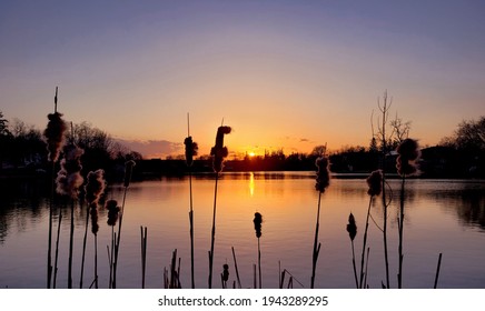 Sunset View In Alder Lake