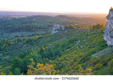 Sunset View Of The Alpilles Valley With Green Olive Tree Groves Below The Historic Fortified Village Les-Baux-de-Provence, In Bouches Du Rhone, Provence, France.