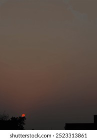 Sunset view behind the trees
